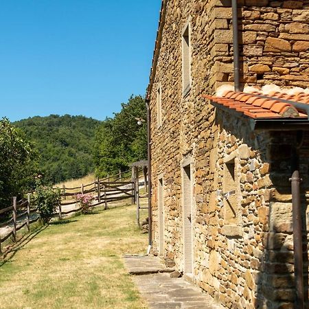 Agriturismo Con Piscina In Toscana, Tribbiano Arezzo Luaran gambar