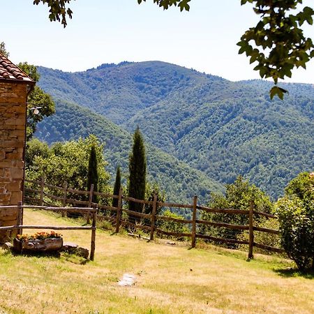 Agriturismo Con Piscina In Toscana, Tribbiano Arezzo Luaran gambar