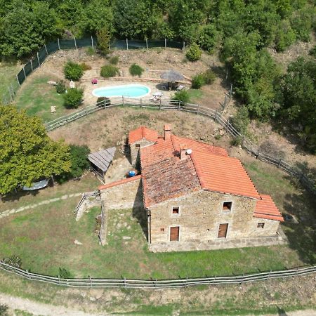 Agriturismo Con Piscina In Toscana, Tribbiano Arezzo Luaran gambar