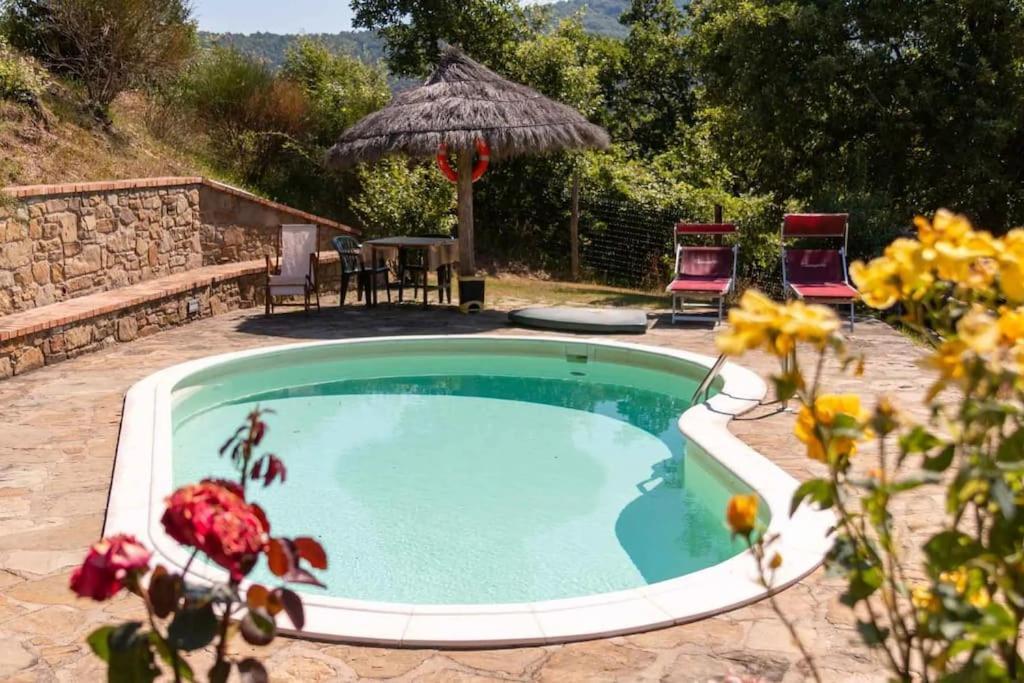 Agriturismo Con Piscina In Toscana, Tribbiano Arezzo Luaran gambar