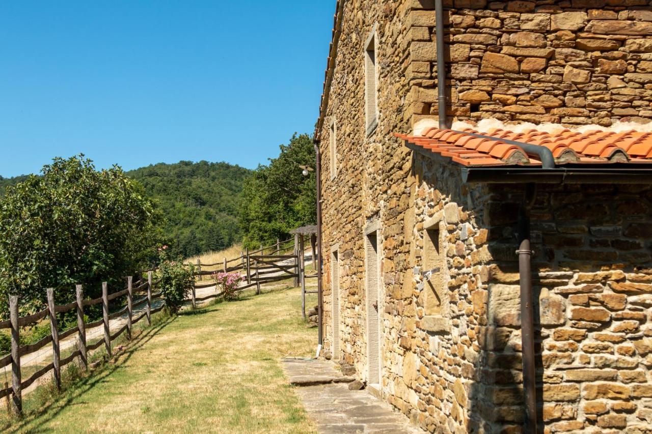 Agriturismo Con Piscina In Toscana, Tribbiano Arezzo Luaran gambar