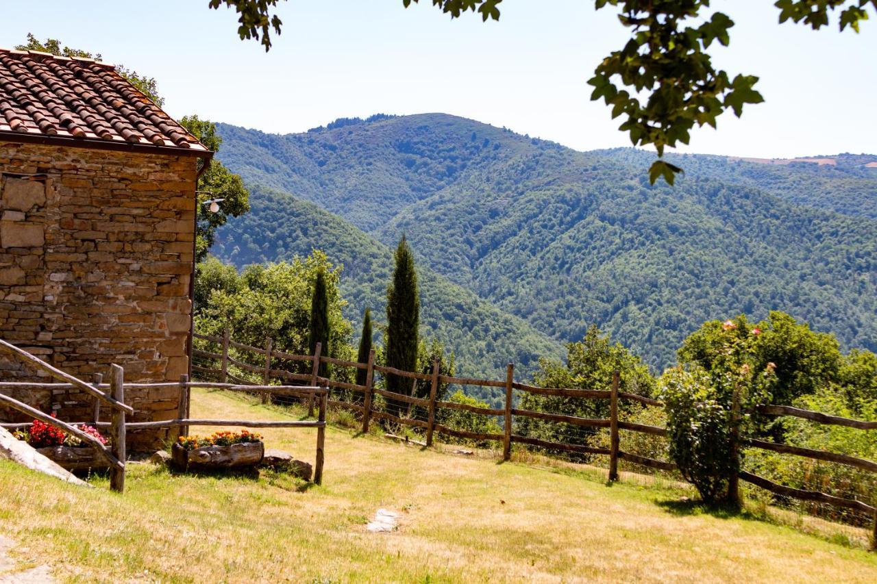 Agriturismo Con Piscina In Toscana, Tribbiano Arezzo Luaran gambar