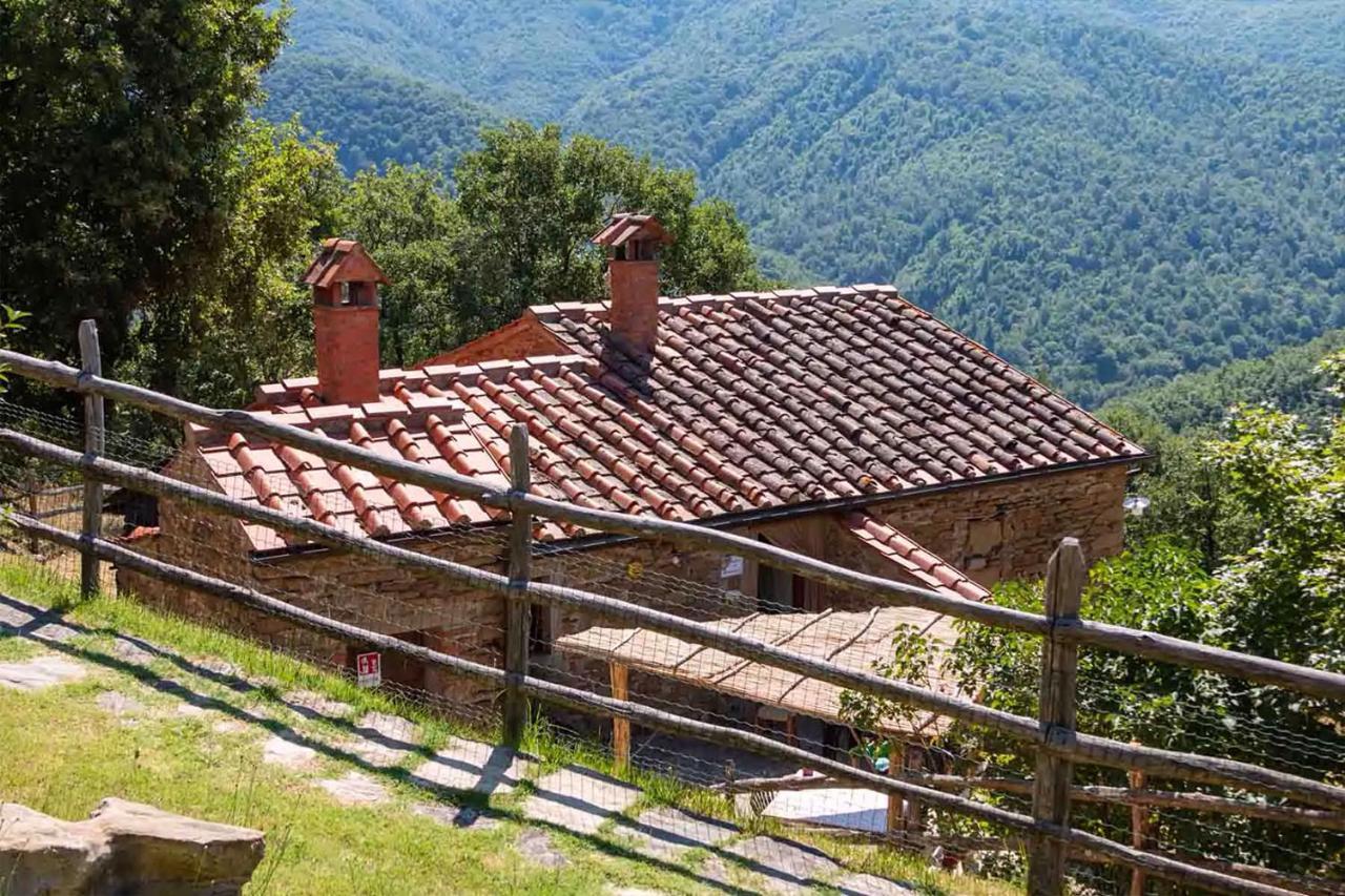 Agriturismo Con Piscina In Toscana, Tribbiano Arezzo Luaran gambar