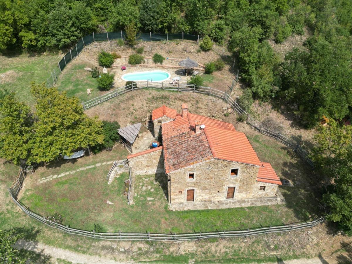 Agriturismo Con Piscina In Toscana, Tribbiano Arezzo Luaran gambar