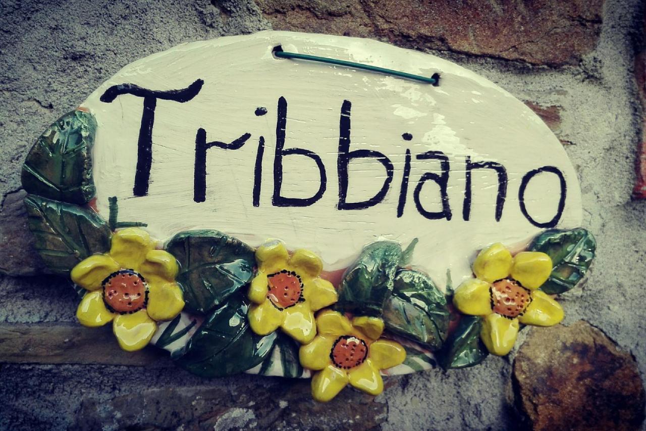 Agriturismo Con Piscina In Toscana, Tribbiano Arezzo Luaran gambar